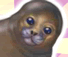 My Dear Seal